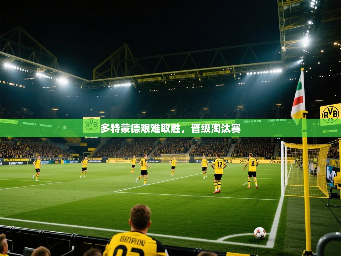 多特蒙德艰难取胜，晋级淘汰赛  第1张