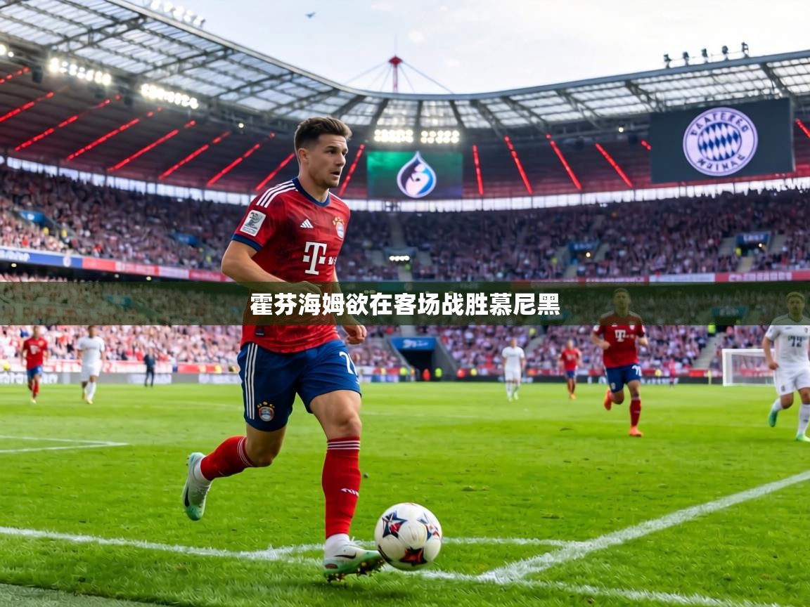 霍芬海姆欲在客场战胜慕尼黑