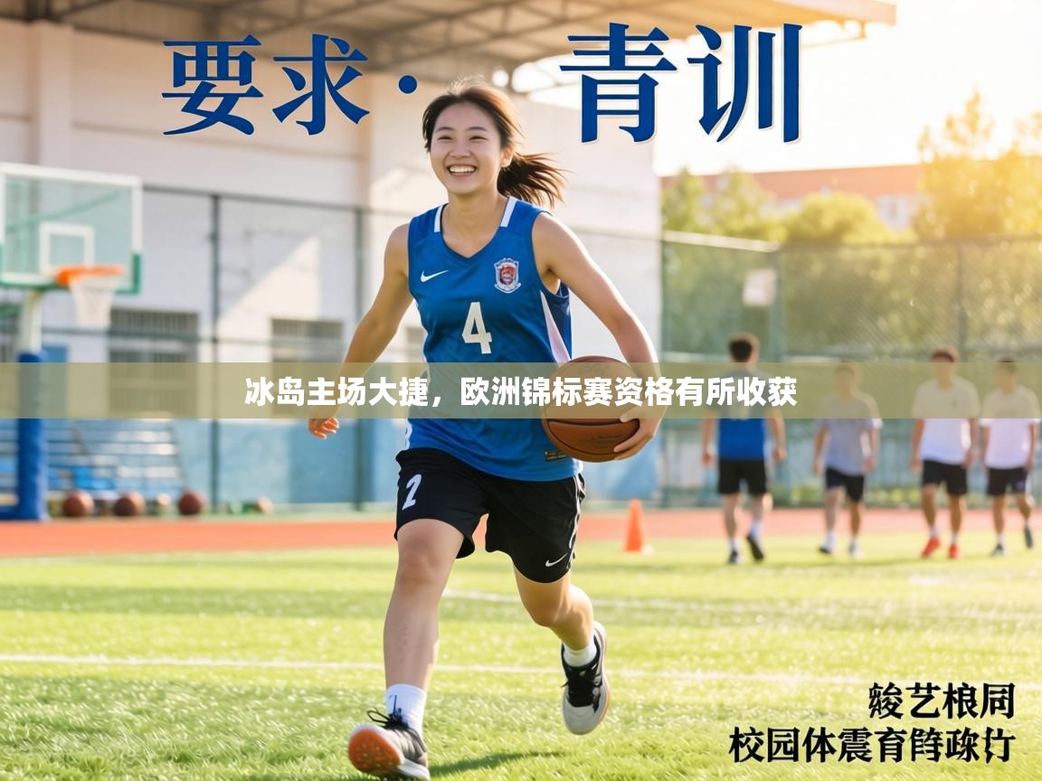 冰岛主场大捷，欧洲锦标赛资格有所收获  第1张